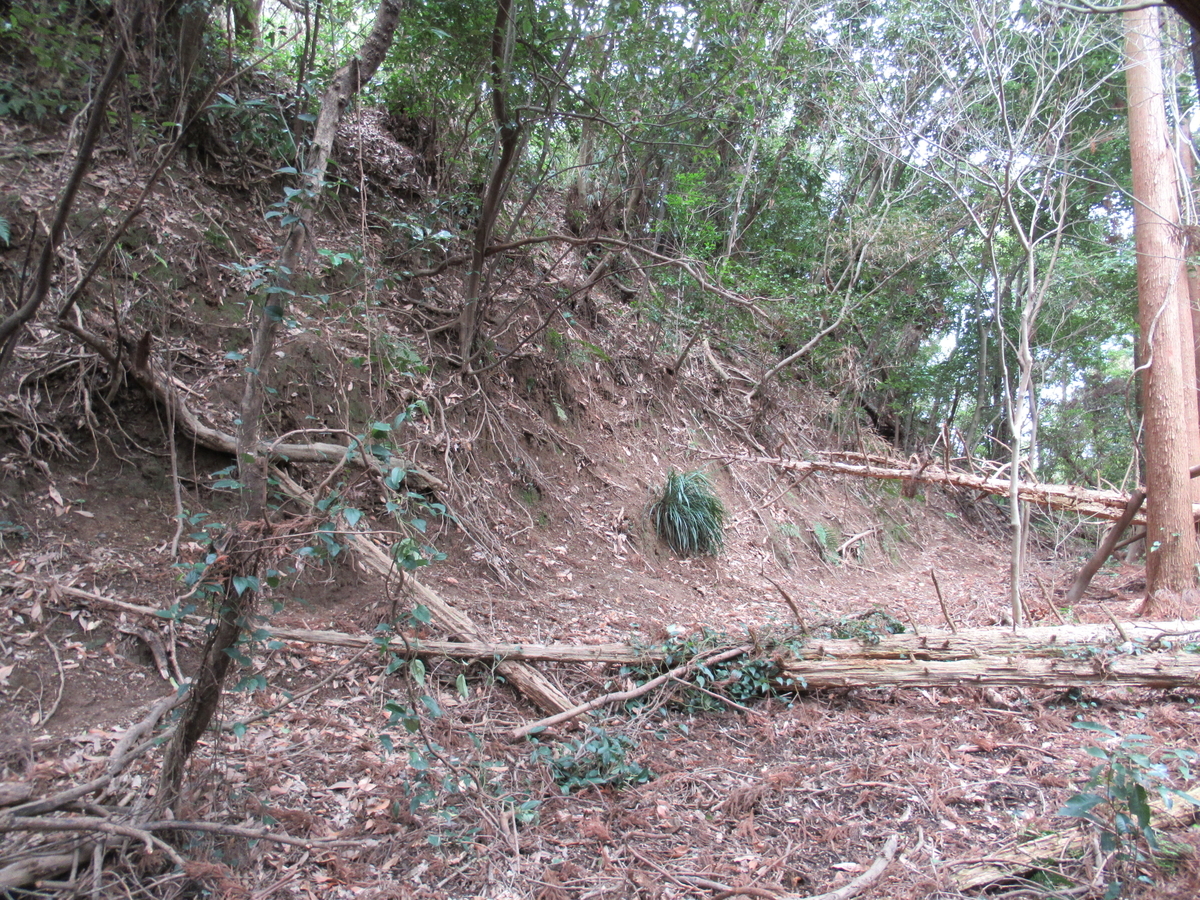 f:id:mai9mami:20190309130151j:plain