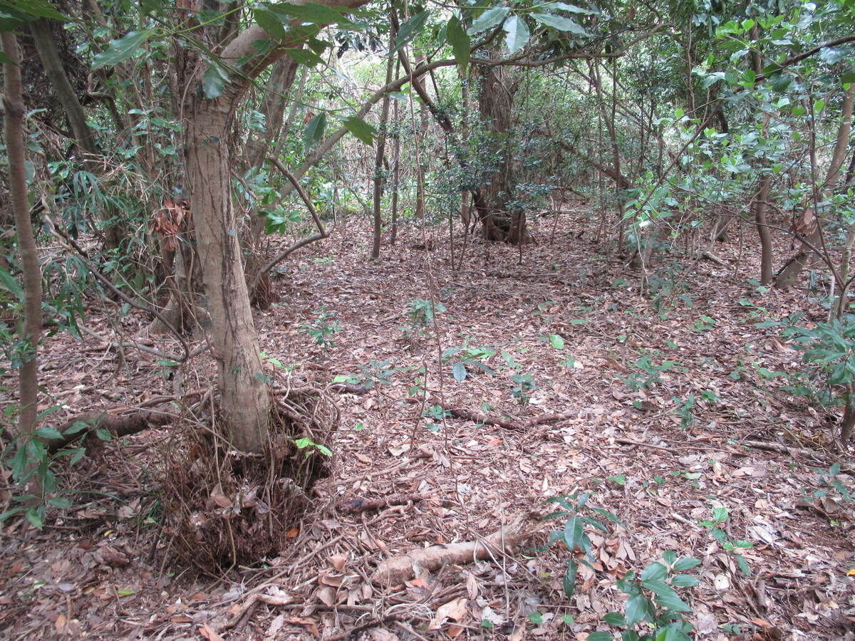 f:id:mai9mami:20190309130815j:plain