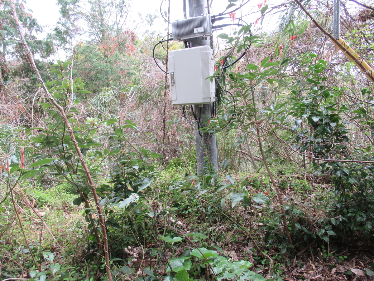 f:id:mai9mami:20190309132649j:plain