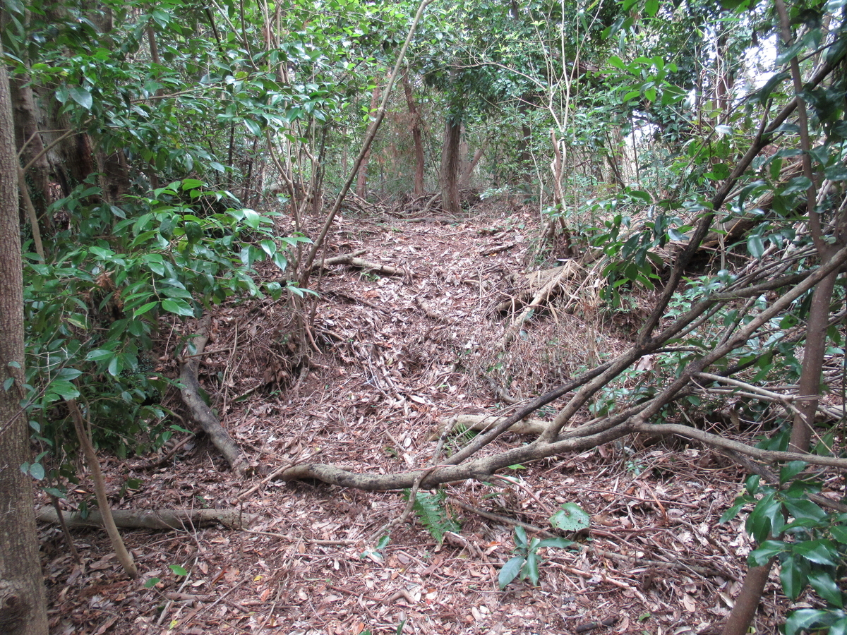 f:id:mai9mami:20190309133648j:plain