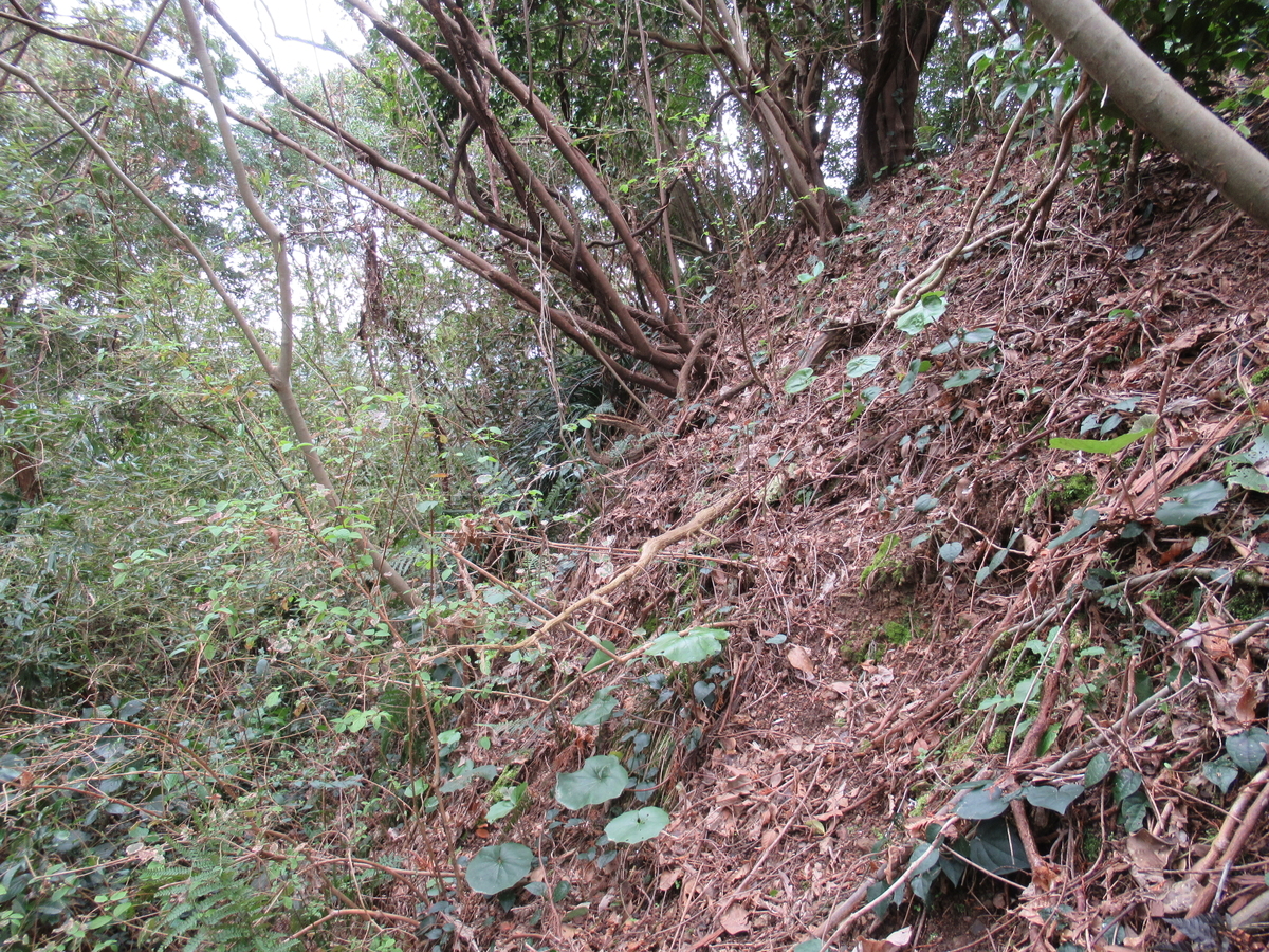 f:id:mai9mami:20190309140048j:plain