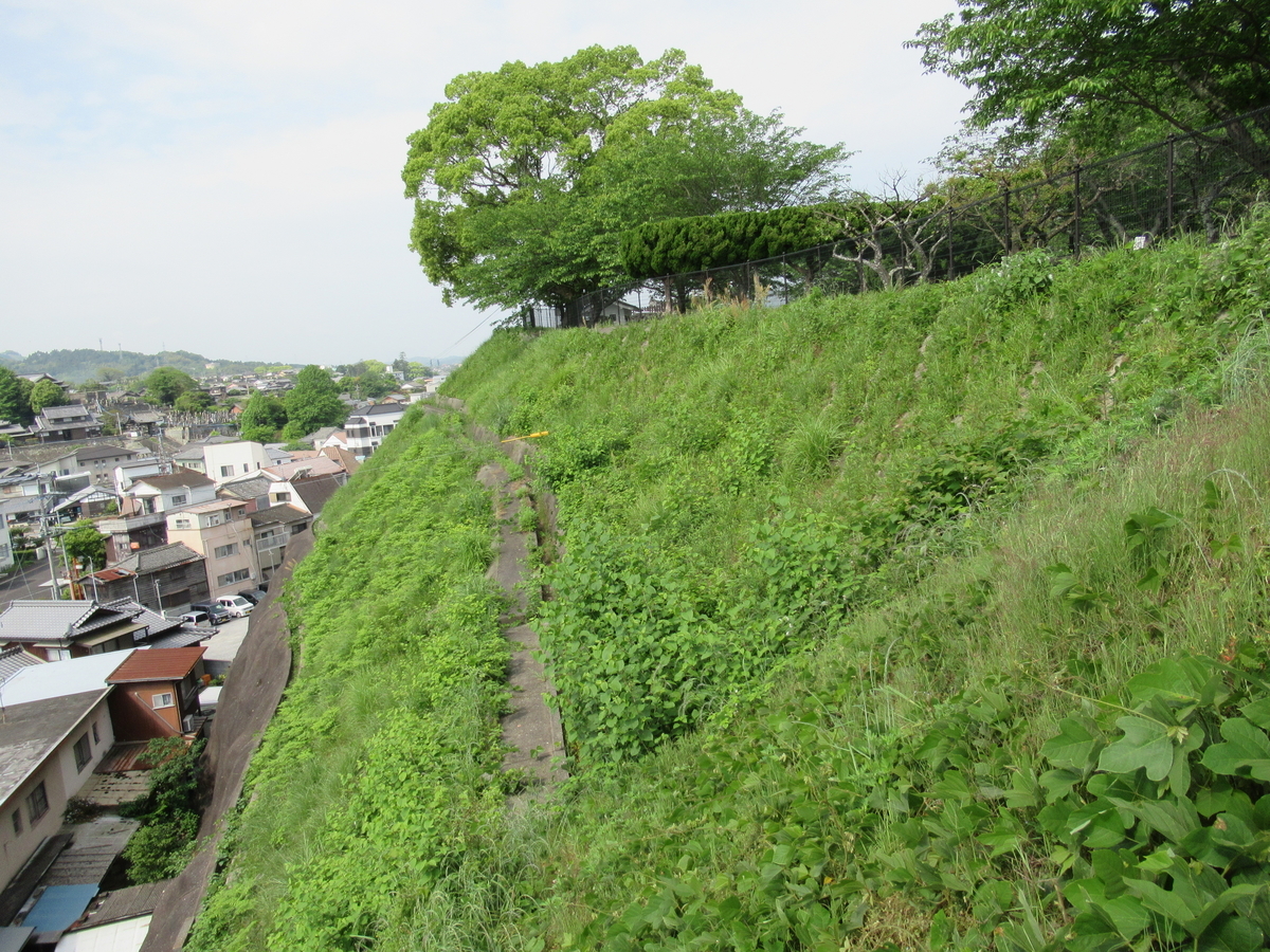 f:id:mai9mami:20190506092416j:plain