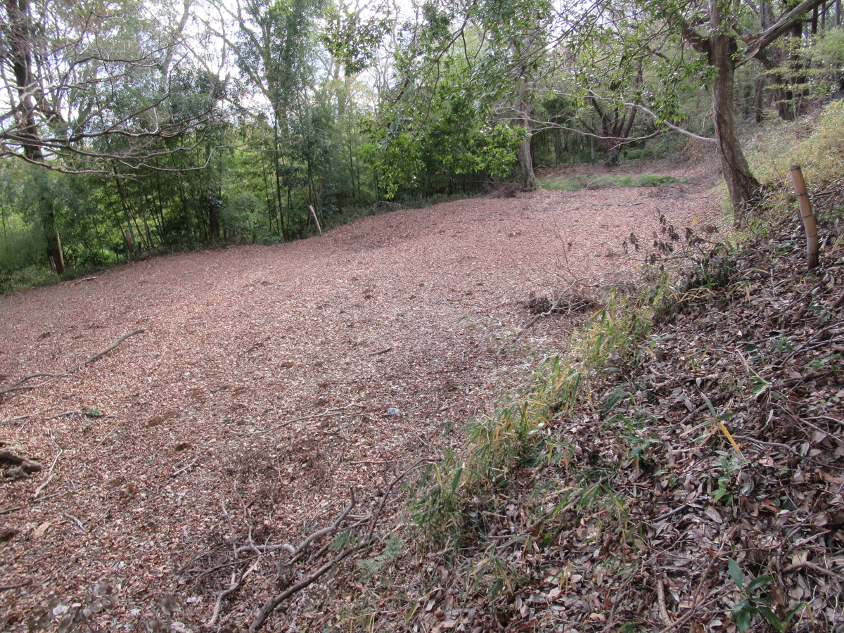 f:id:mai9mami:20200104135045j:plain