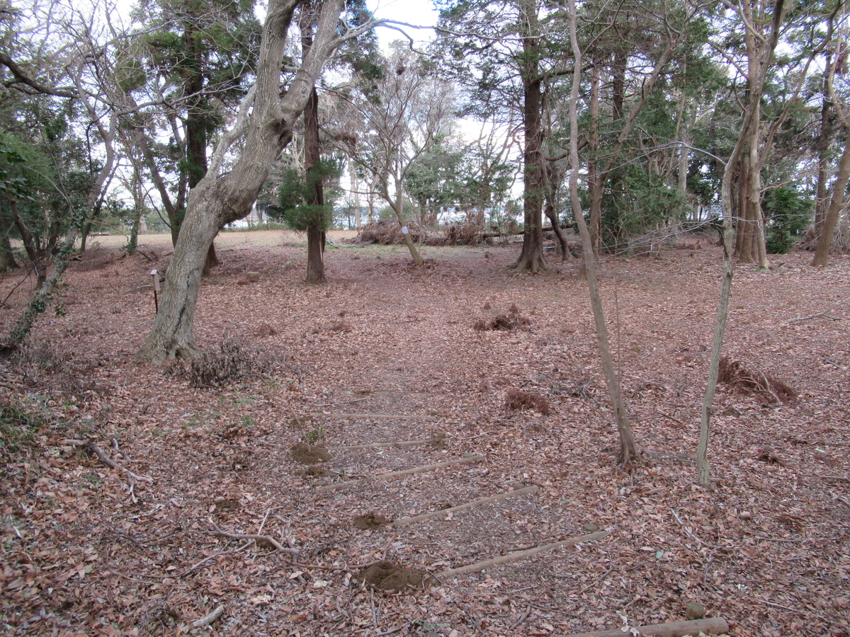 f:id:mai9mami:20200104135843j:plain