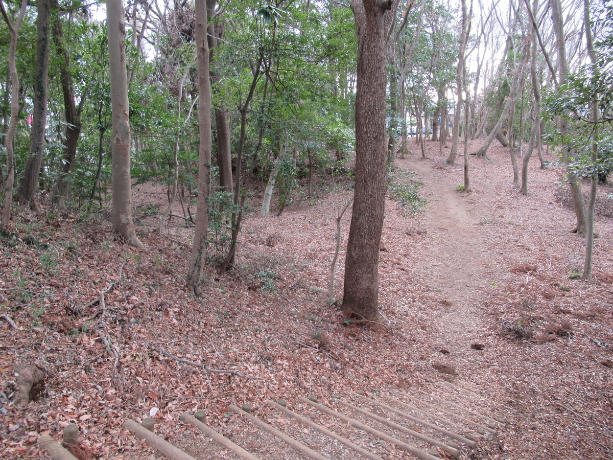 f:id:mai9mami:20200104140249j:plain