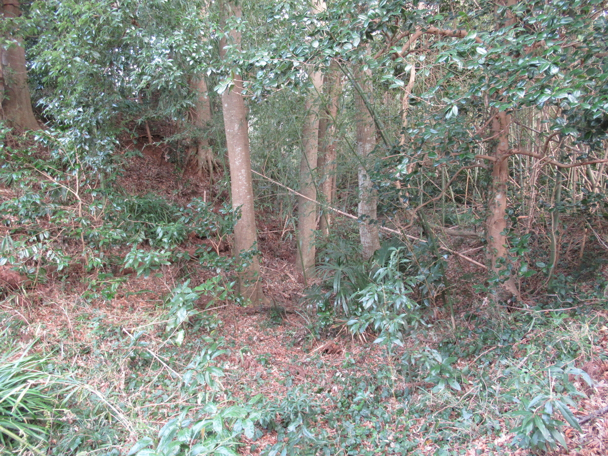 f:id:mai9mami:20200104145535j:plain