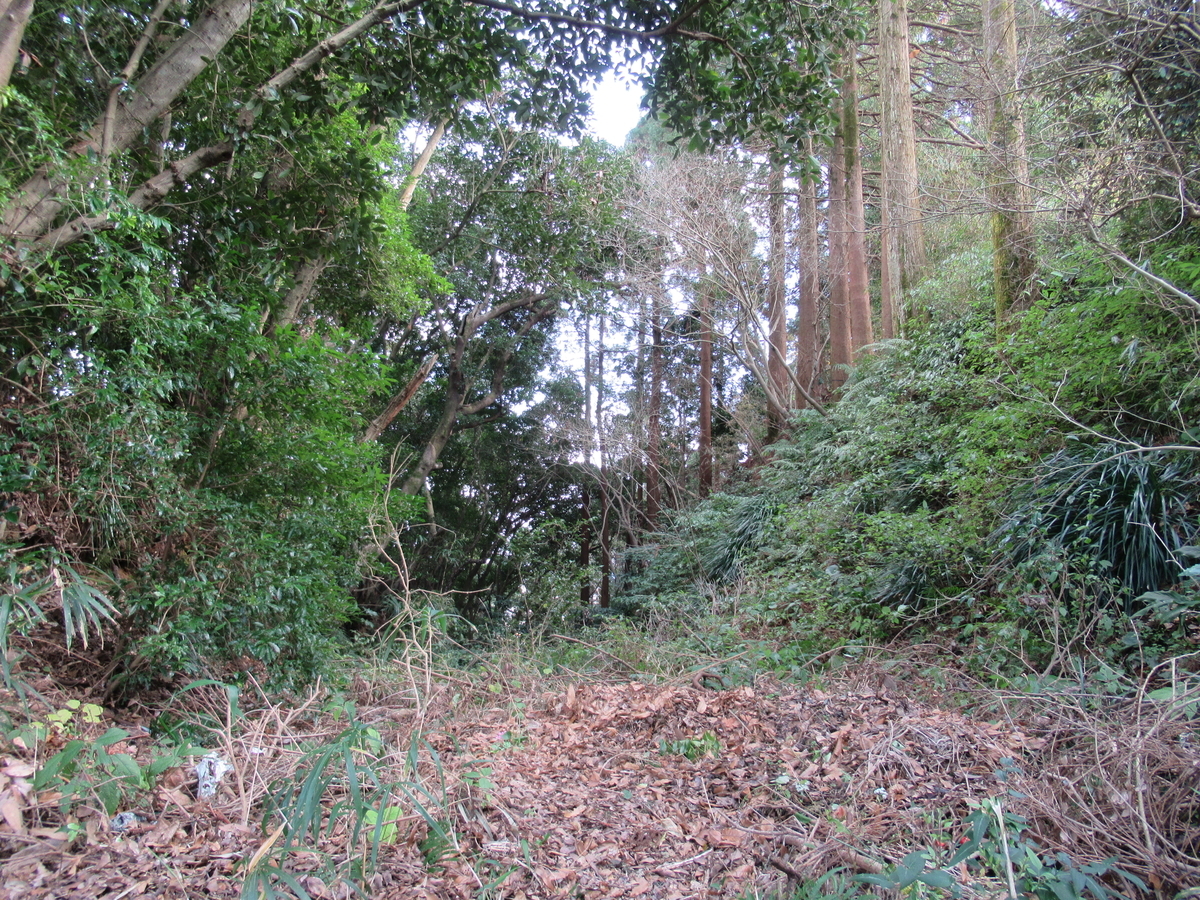 f:id:mai9mami:20200118135603j:plain f:id:mai9mami:20200118135603j:plain