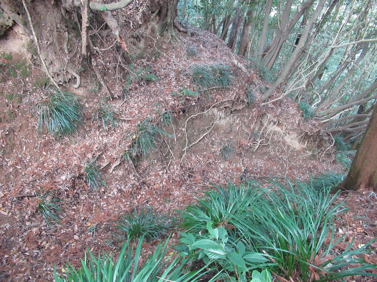 f:id:mai9mami:20200118140927j:plain f:id:mai9mami:20200118140927j:plain