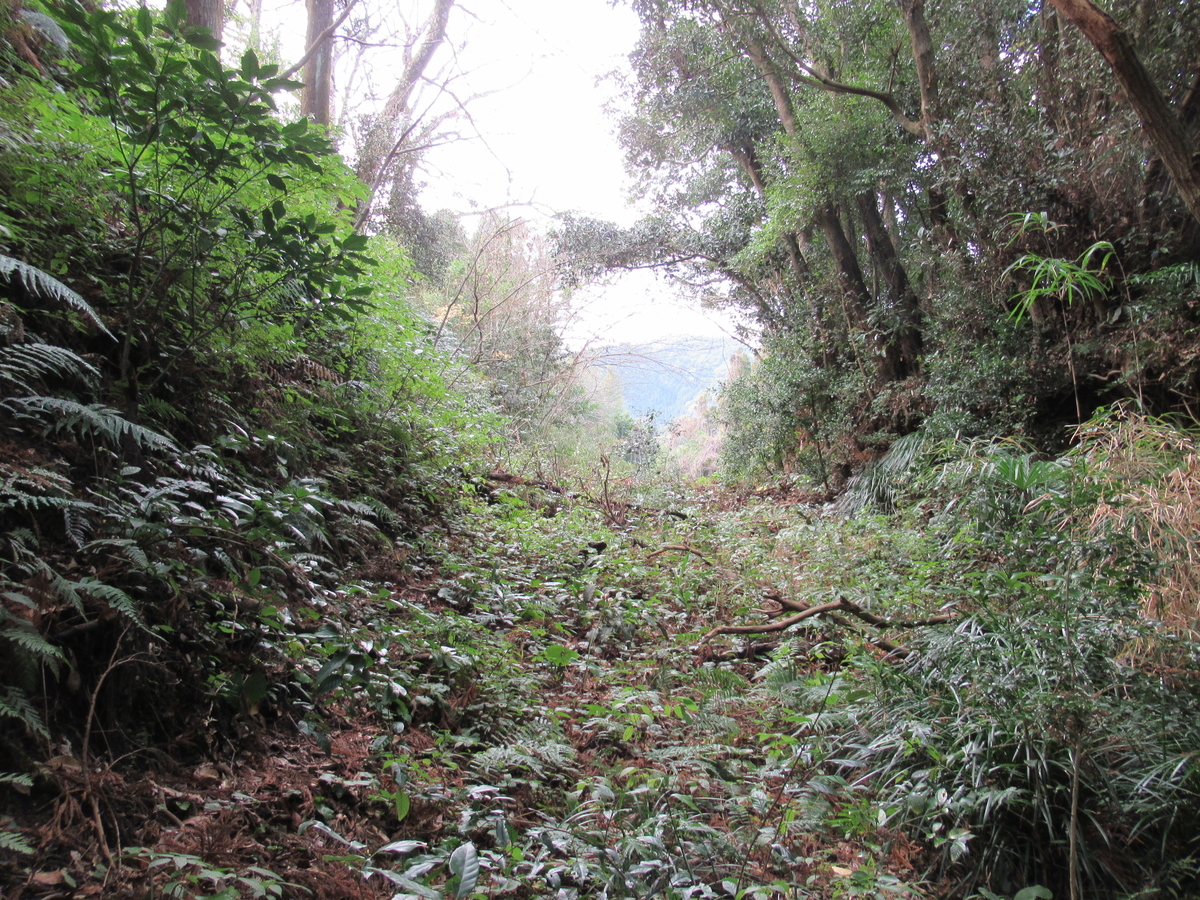 f:id:mai9mami:20200118141126j:plain f:id:mai9mami:20200118141126j:plain