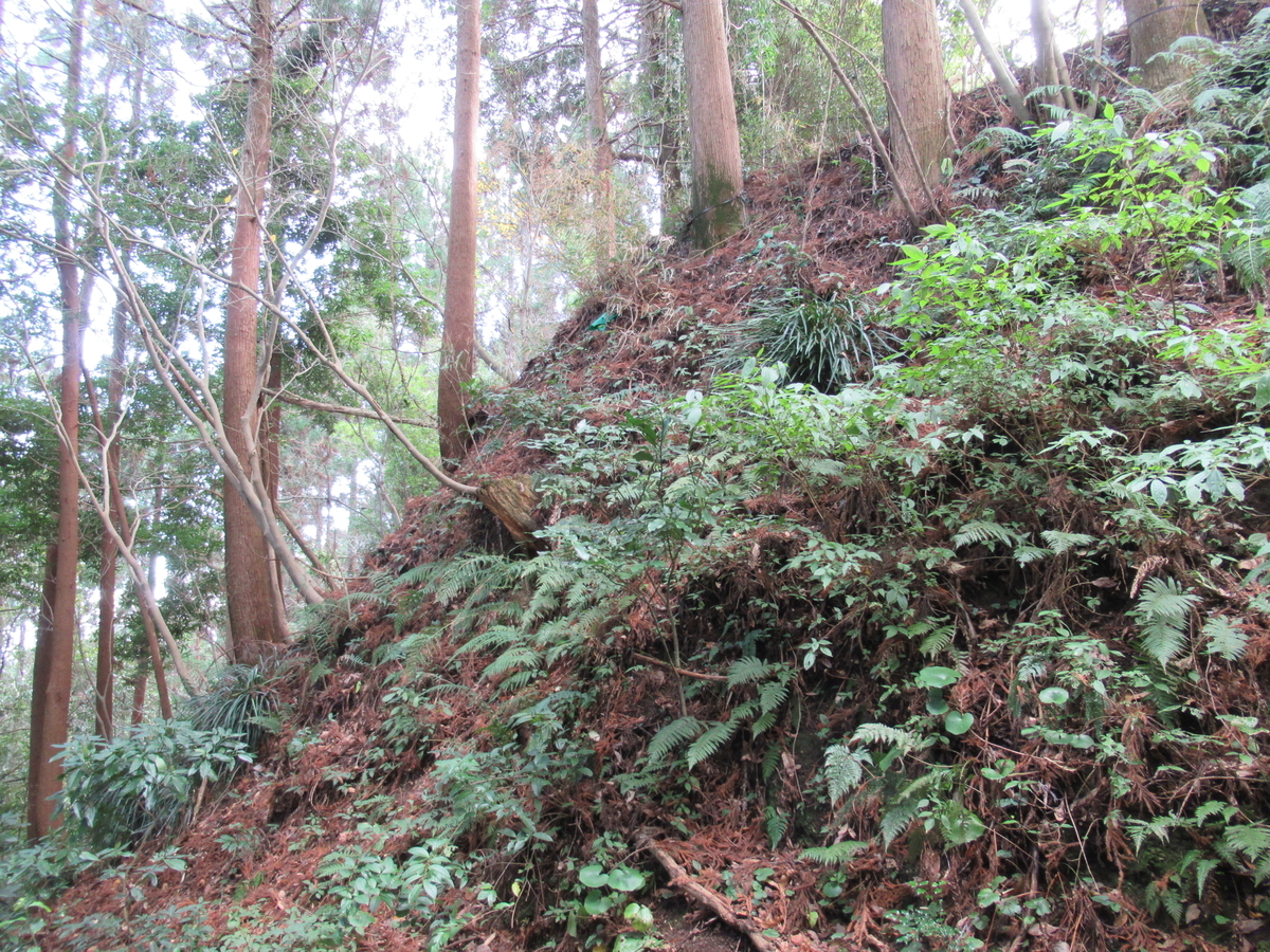 f:id:mai9mami:20200118141508j:plain f:id:mai9mami:20200118141508j:plain