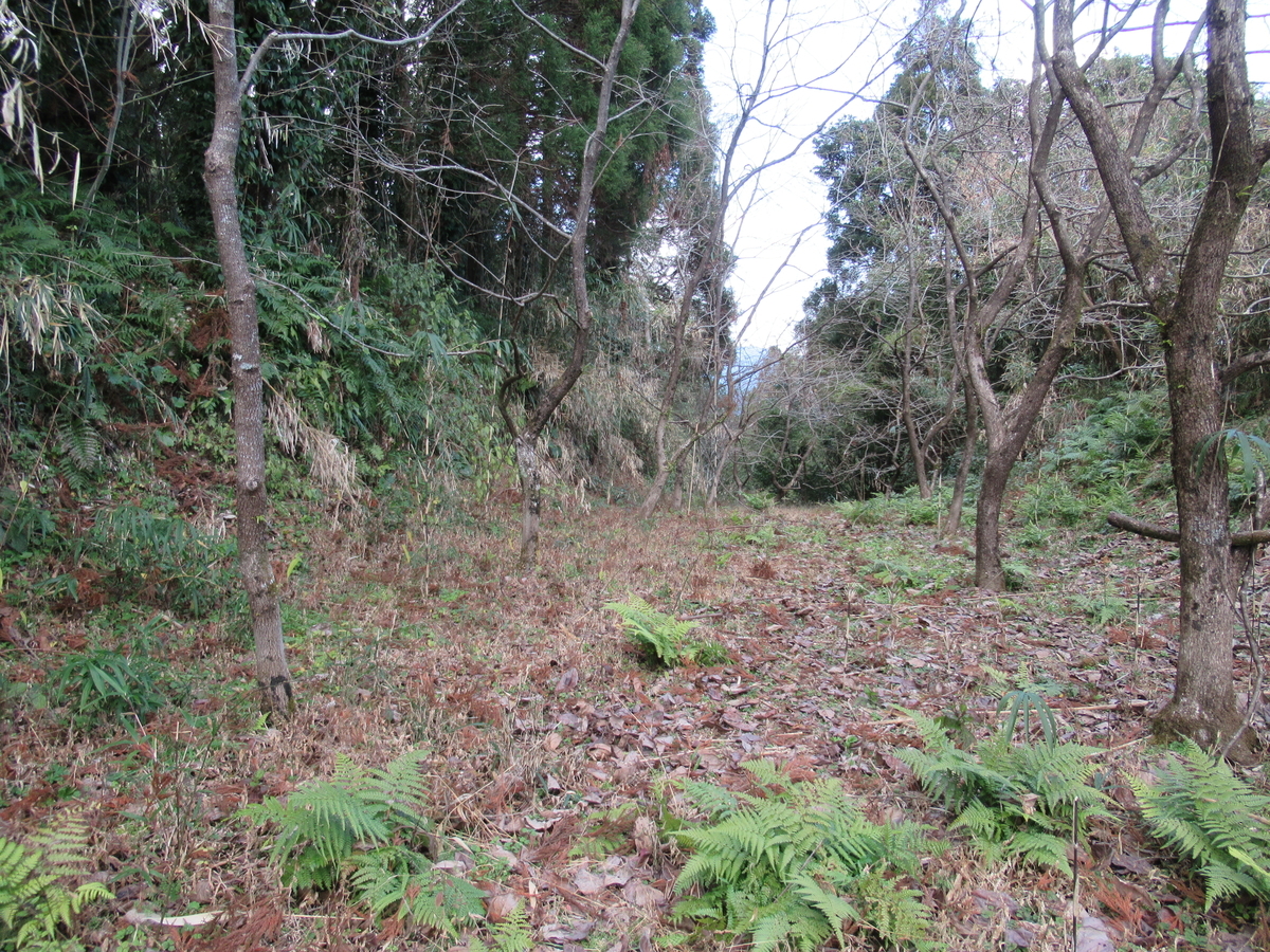 f:id:mai9mami:20200118142602j:plain f:id:mai9mami:20200118142602j:plain