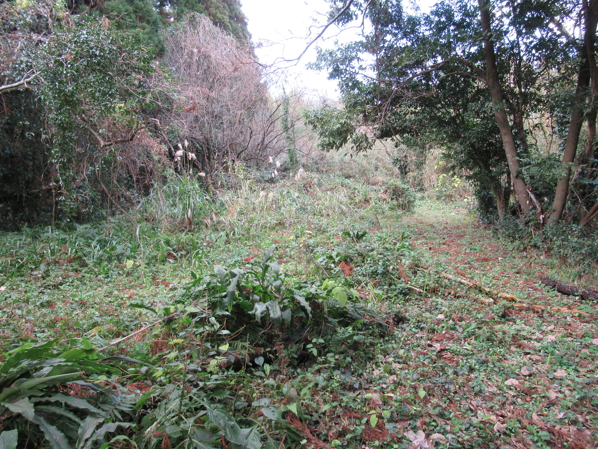 f:id:mai9mami:20200118143714j:plain f:id:mai9mami:20200118143714j:plain