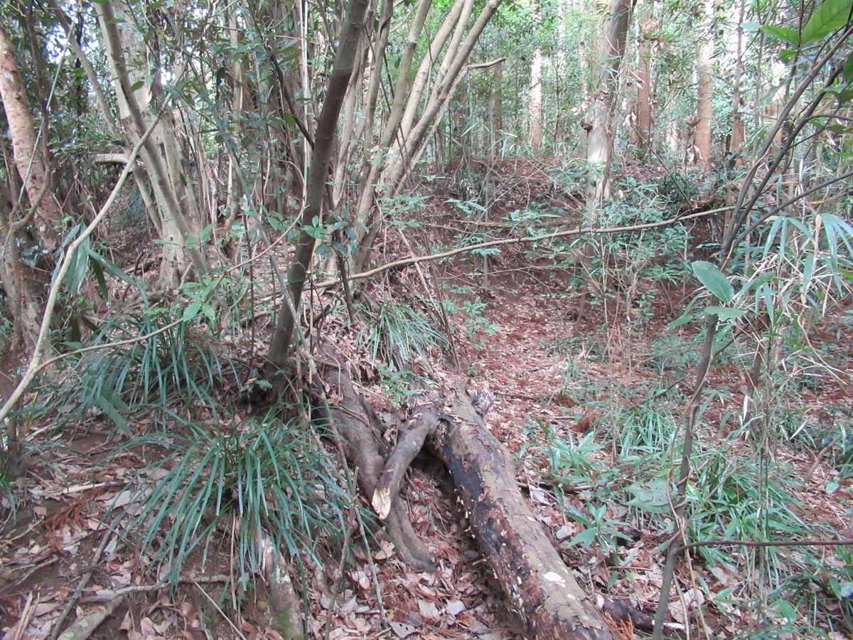 f:id:mai9mami:20200119113854j:plain f:id:mai9mami:20200119113854j:plain