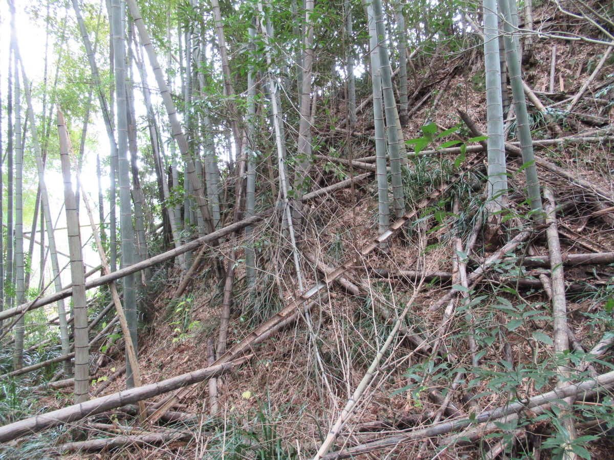 f:id:mai9mami:20200119115024j:plain f:id:mai9mami:20200119115024j:plain