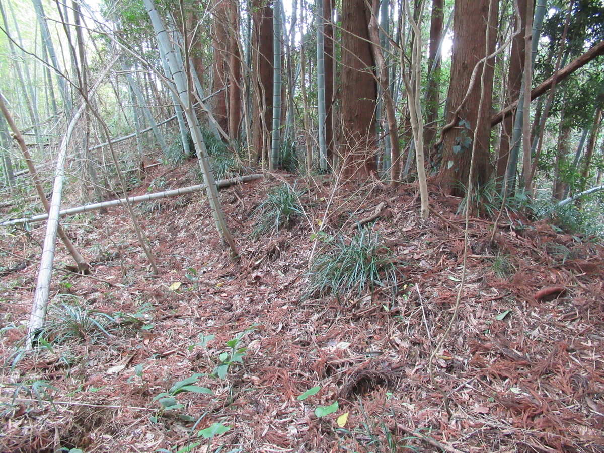 f:id:mai9mami:20200119120104j:plain f:id:mai9mami:20200119120104j:plain