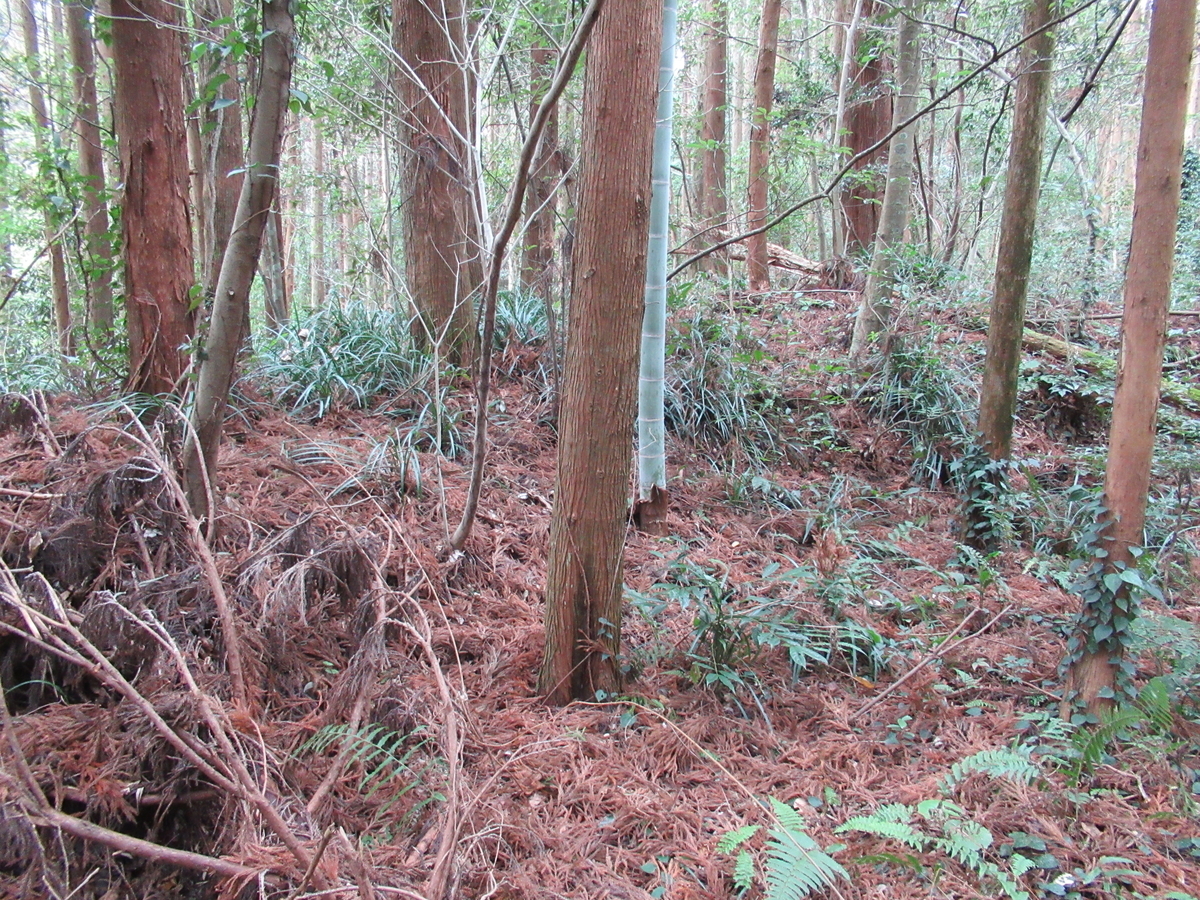 f:id:mai9mami:20200119120312j:plain f:id:mai9mami:20200119120312j:plain