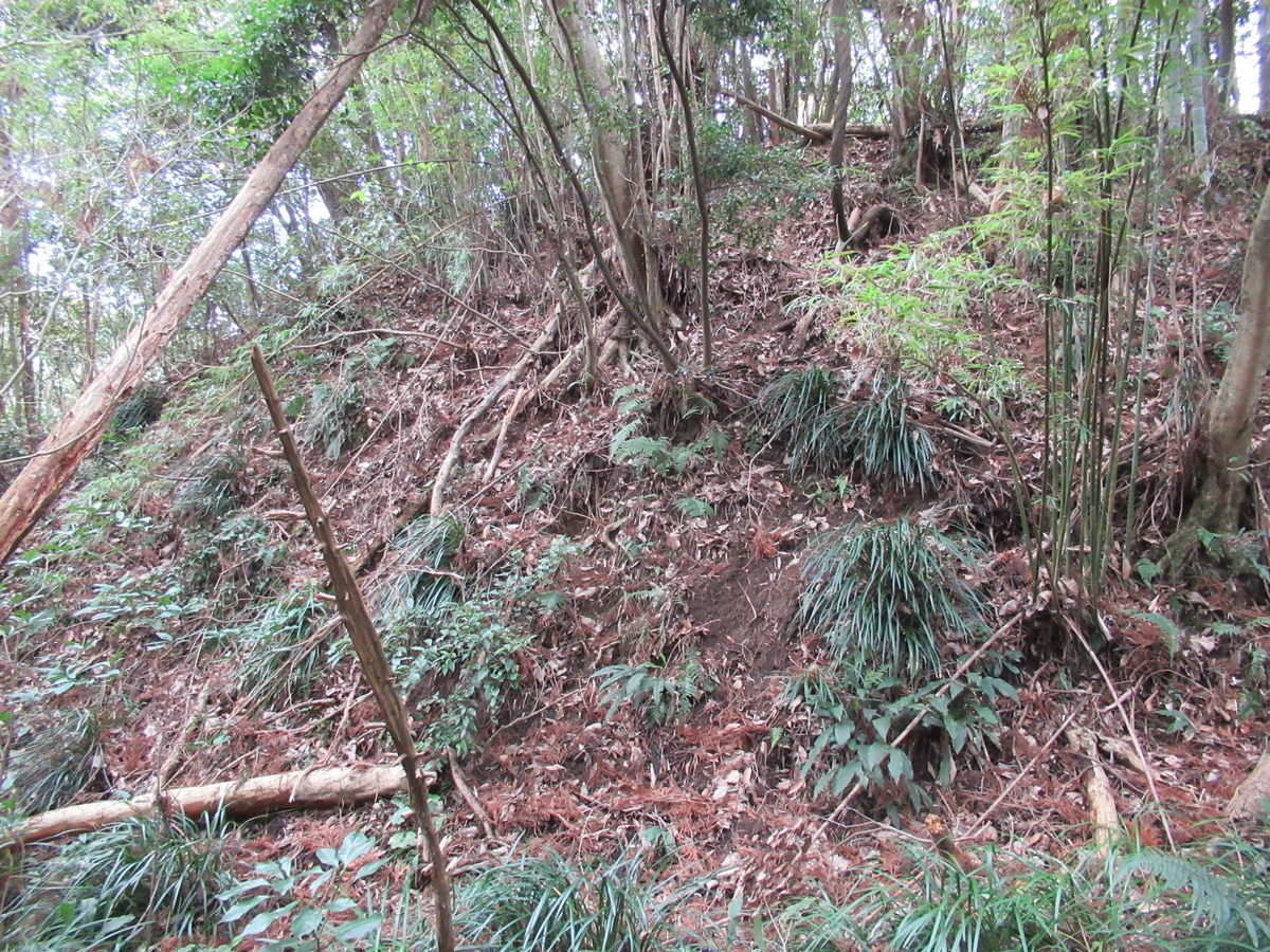 f:id:mai9mami:20200119121652j:plain f:id:mai9mami:20200119121652j:plain