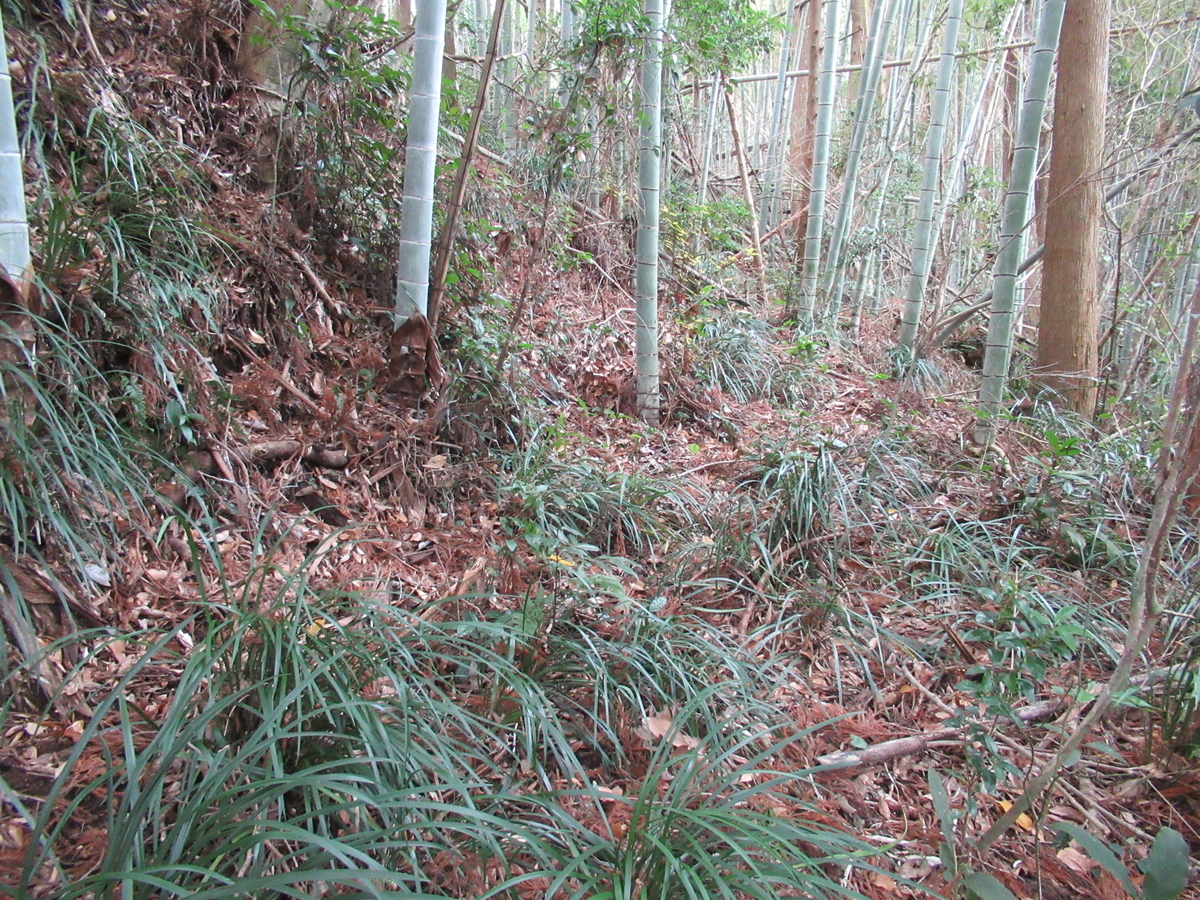 f:id:mai9mami:20200119121955j:plain f:id:mai9mami:20200119121955j:plain