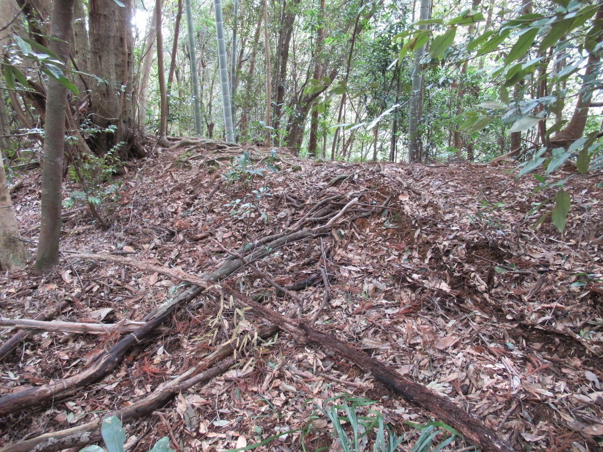 f:id:mai9mami:20200119124449j:plain f:id:mai9mami:20200119124449j:plain