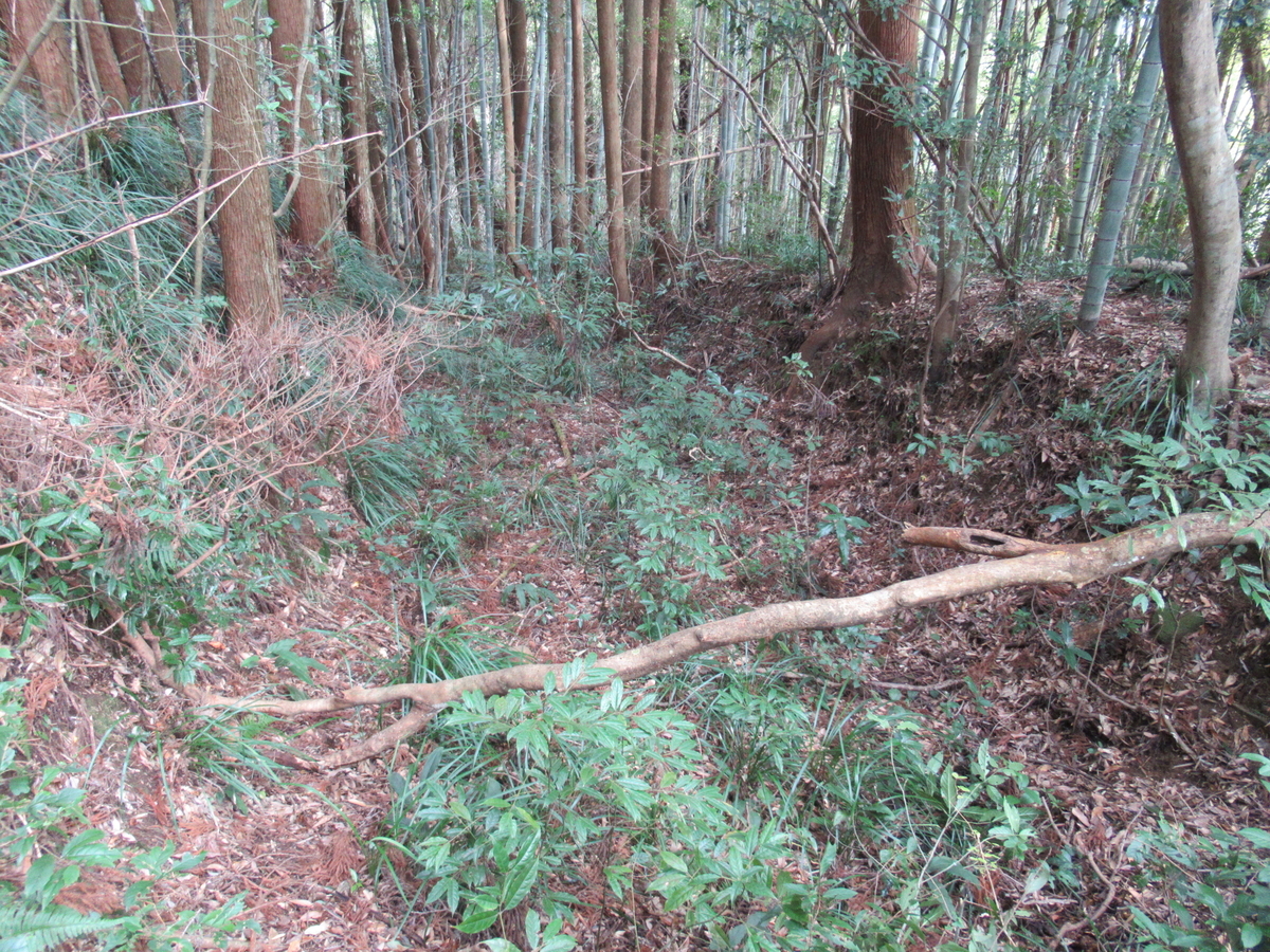 f:id:mai9mami:20200119134206j:plain f:id:mai9mami:20200119134206j:plain