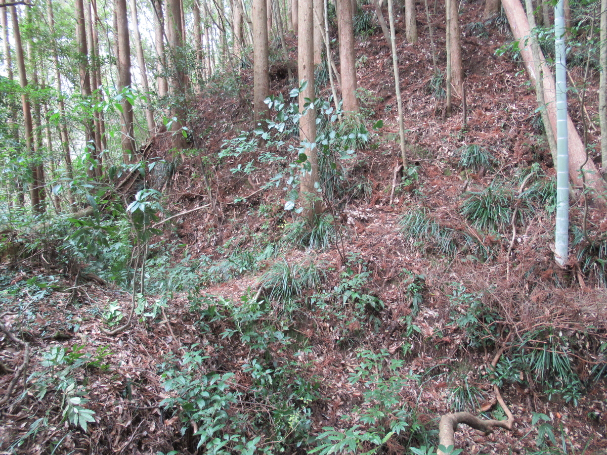 f:id:mai9mami:20200119134643j:plain f:id:mai9mami:20200119134643j:plain