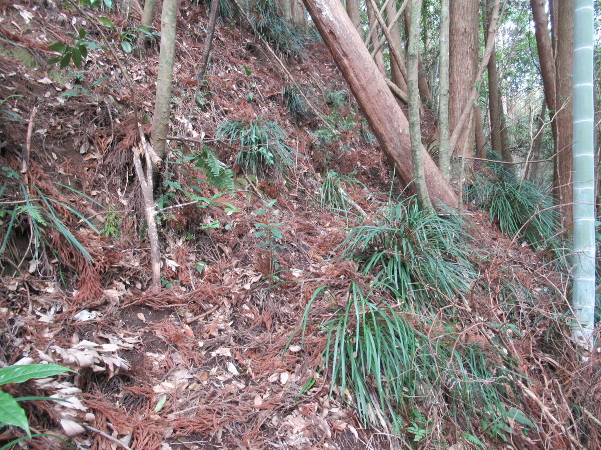 f:id:mai9mami:20200119134657j:plain f:id:mai9mami:20200119134657j:plain