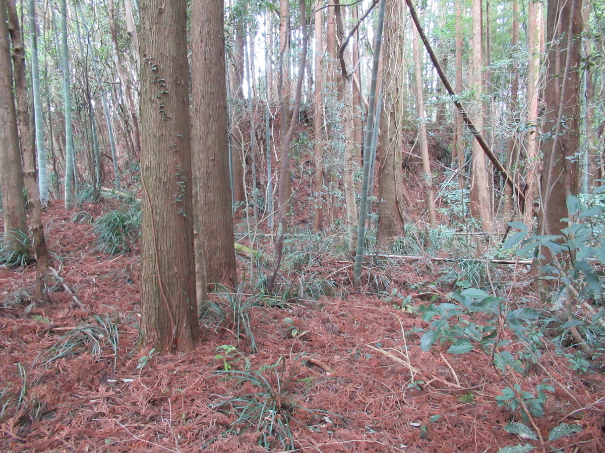 f:id:mai9mami:20200119134906j:plain f:id:mai9mami:20200119134906j:plain