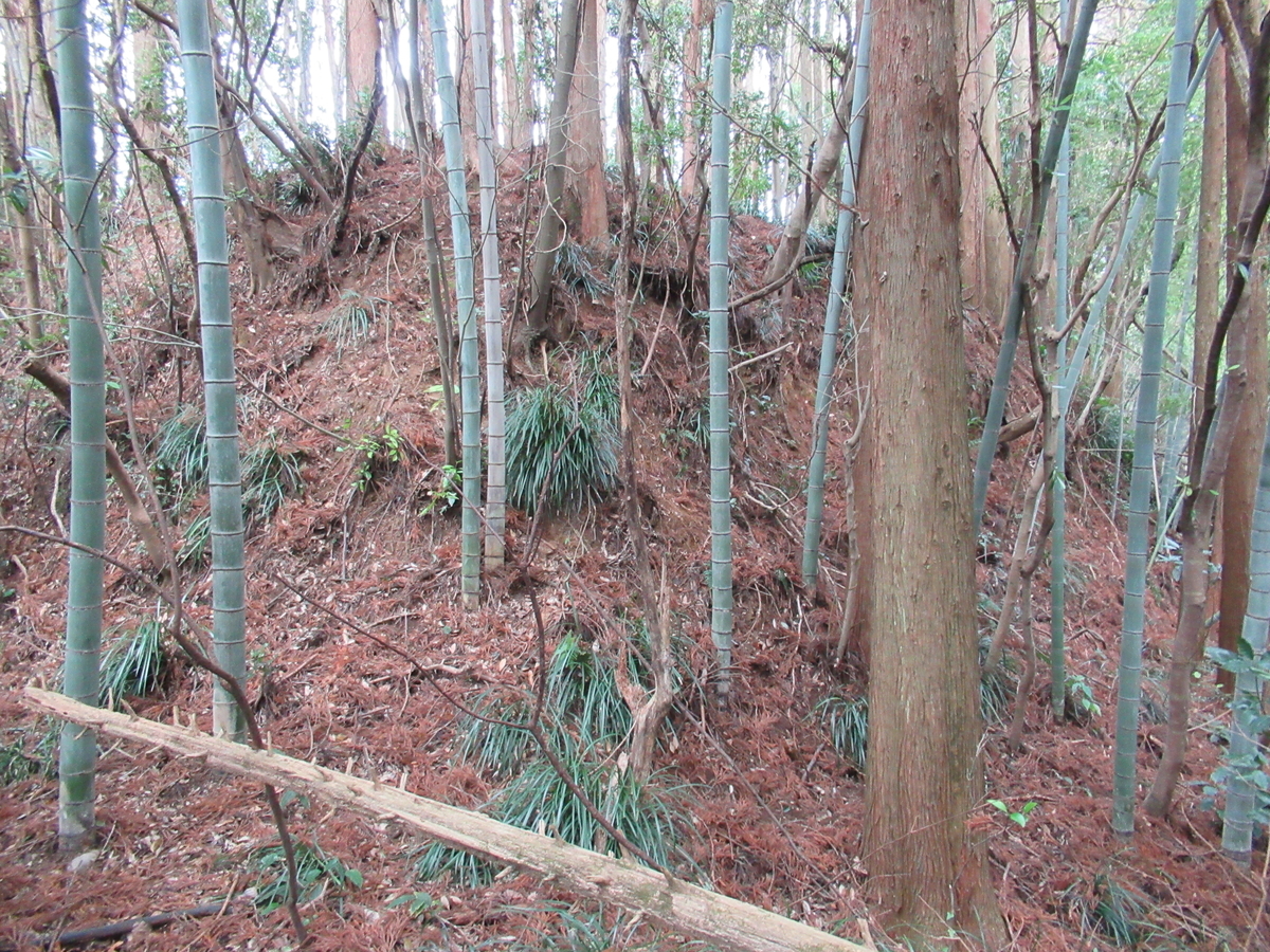 f:id:mai9mami:20200119134931j:plain f:id:mai9mami:20200119134931j:plain