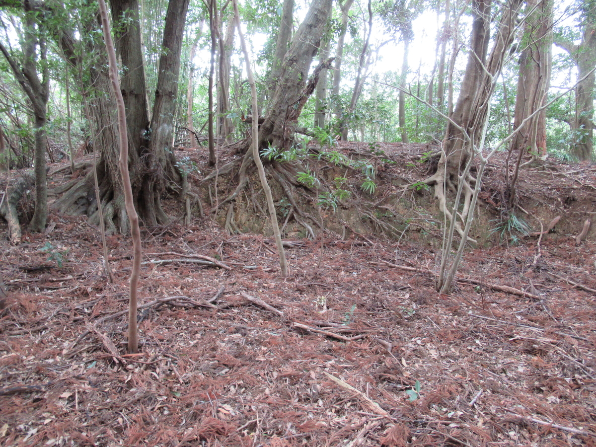 f:id:mai9mami:20200119135203j:plain f:id:mai9mami:20200119135203j:plain