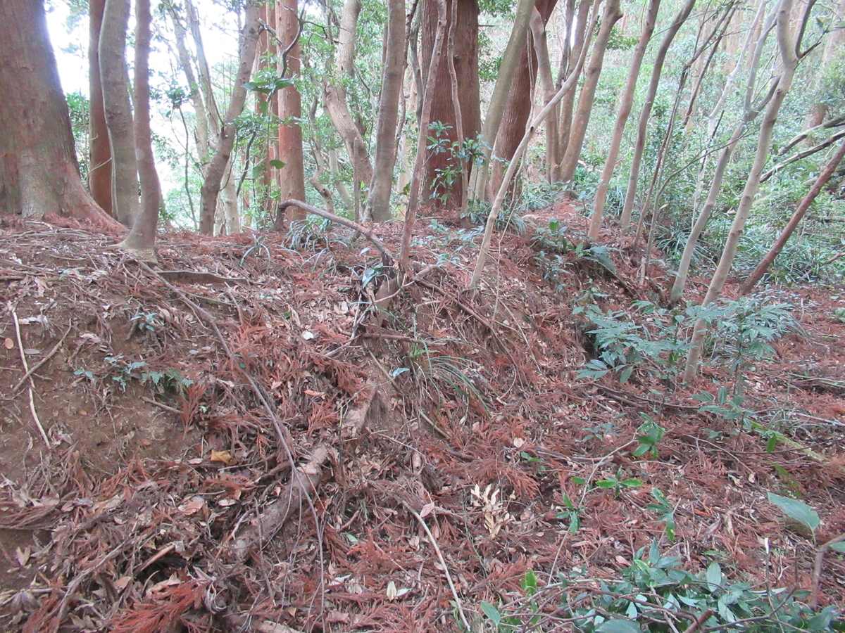 f:id:mai9mami:20200119135358j:plain f:id:mai9mami:20200119135358j:plain