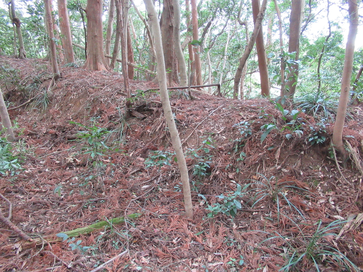 f:id:mai9mami:20200119135527j:plain f:id:mai9mami:20200119135527j:plain