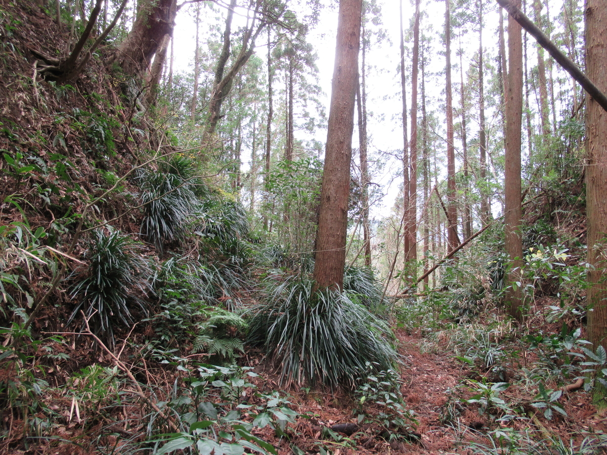 f:id:mai9mami:20200119140800j:plain f:id:mai9mami:20200119140800j:plain