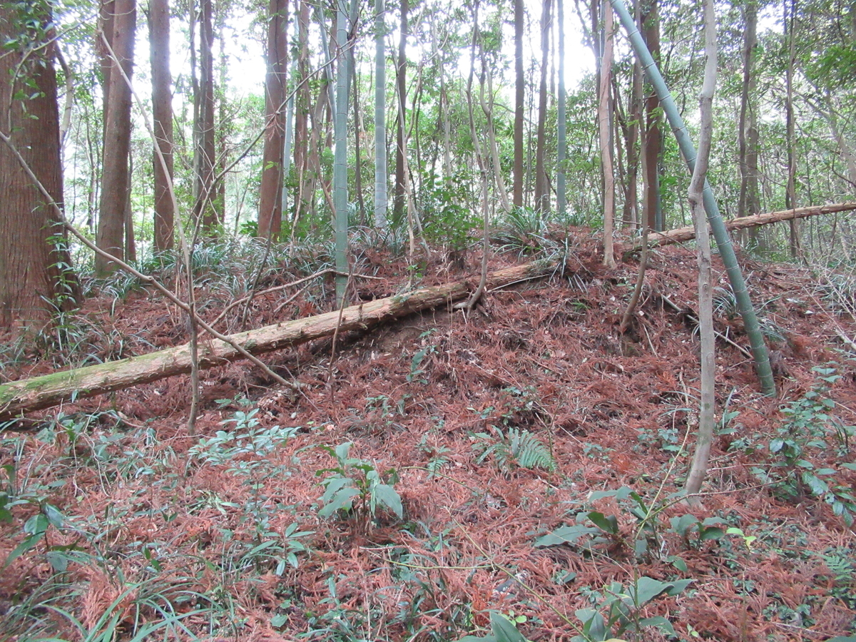 f:id:mai9mami:20200119141137j:plain f:id:mai9mami:20200119141137j:plain