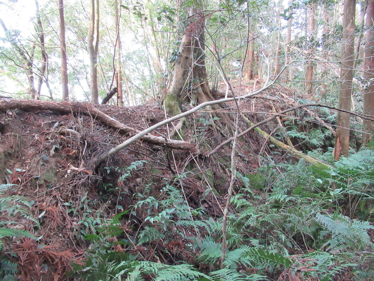 f:id:mai9mami:20200119151507j:plain f:id:mai9mami:20200119151507j:plain