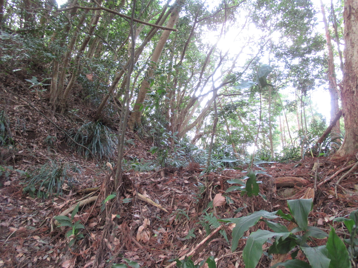 f:id:mai9mami:20200119152746j:plain f:id:mai9mami:20200119152746j:plain