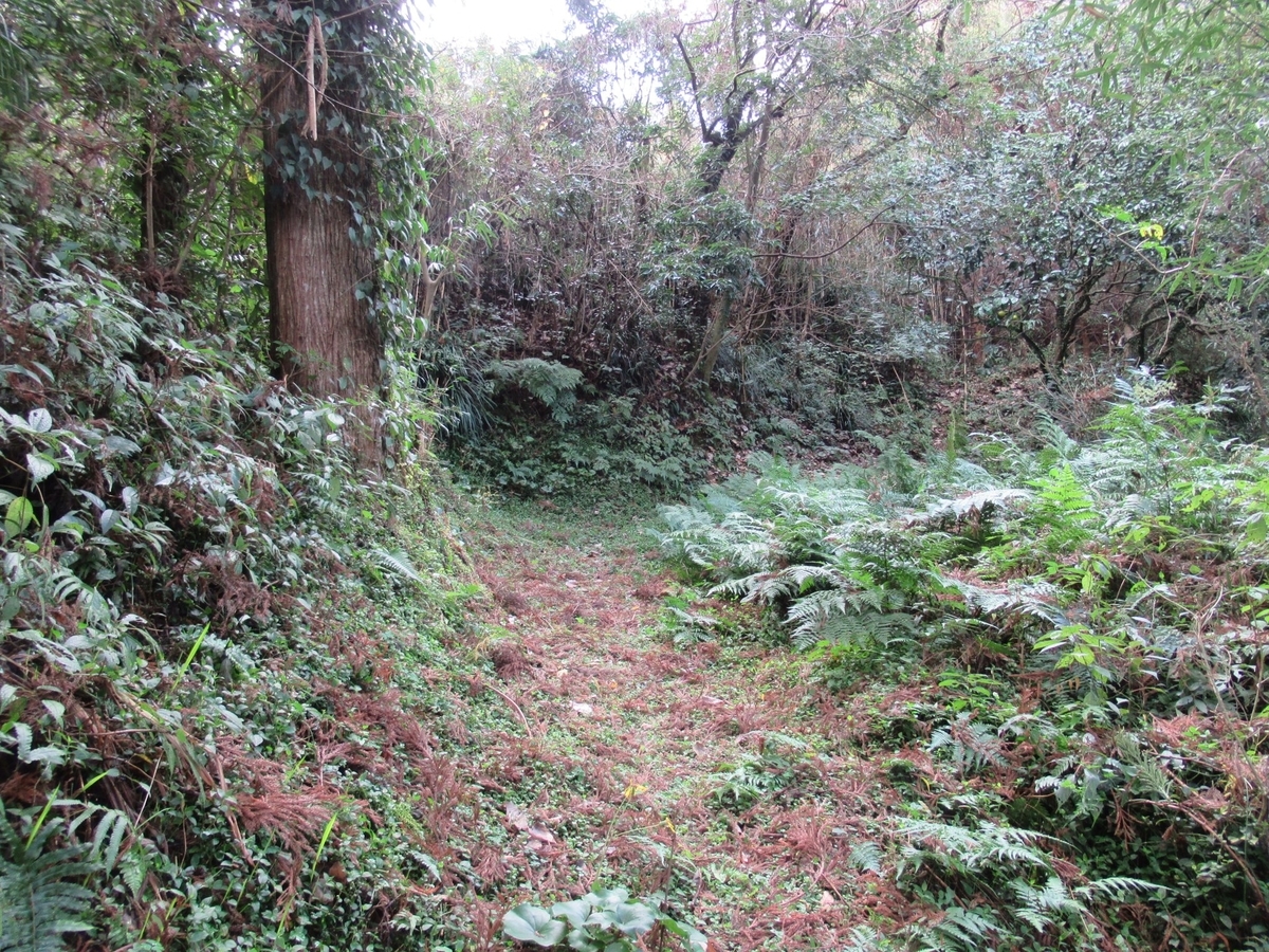 f:id:mai9mami:20200120170156j:plain f:id:mai9mami:20200120170156j:plain