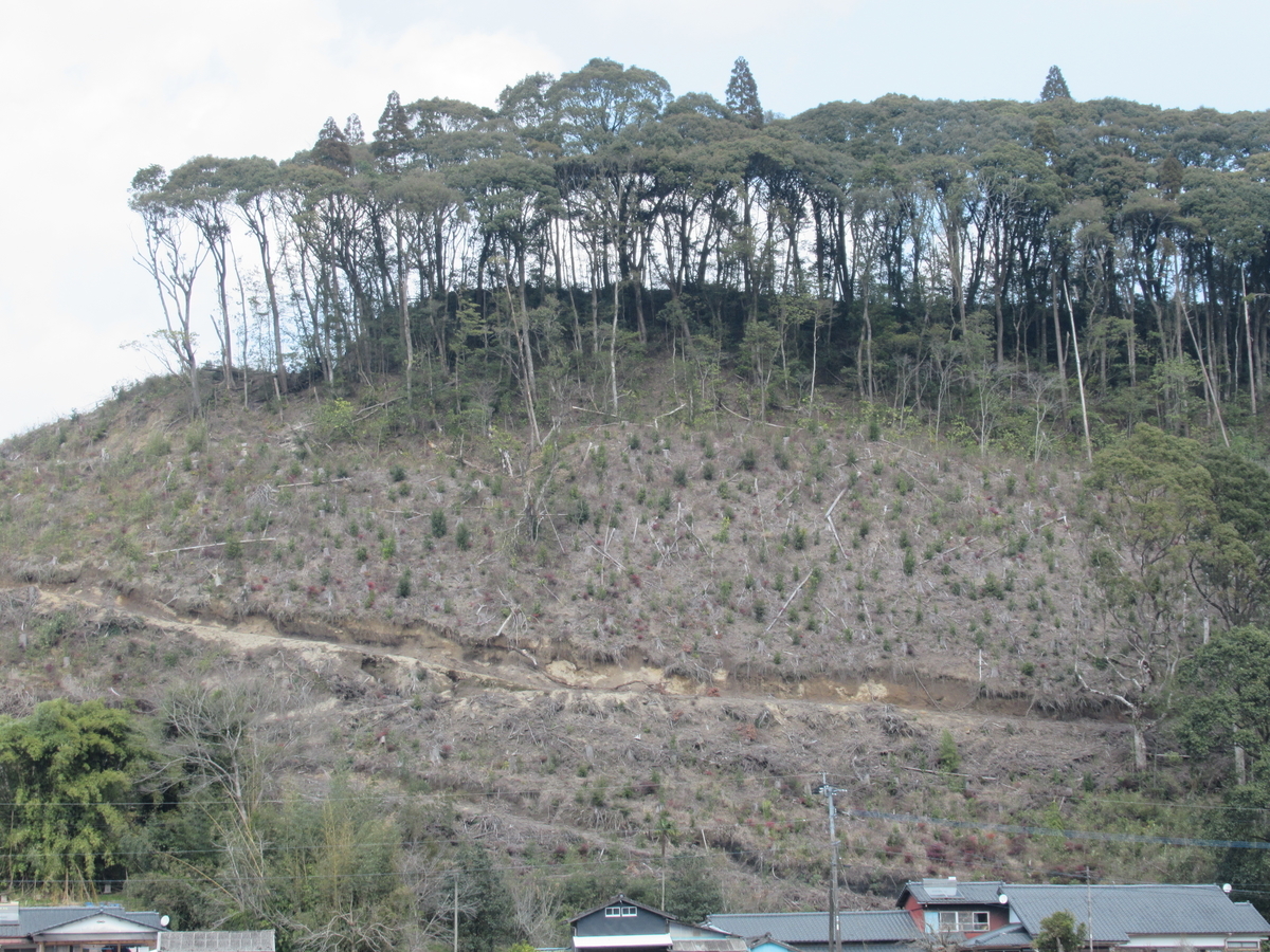 f:id:mai9mami:20200316225705j:plain