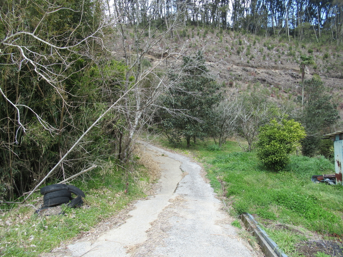 f:id:mai9mami:20200316225859j:plain