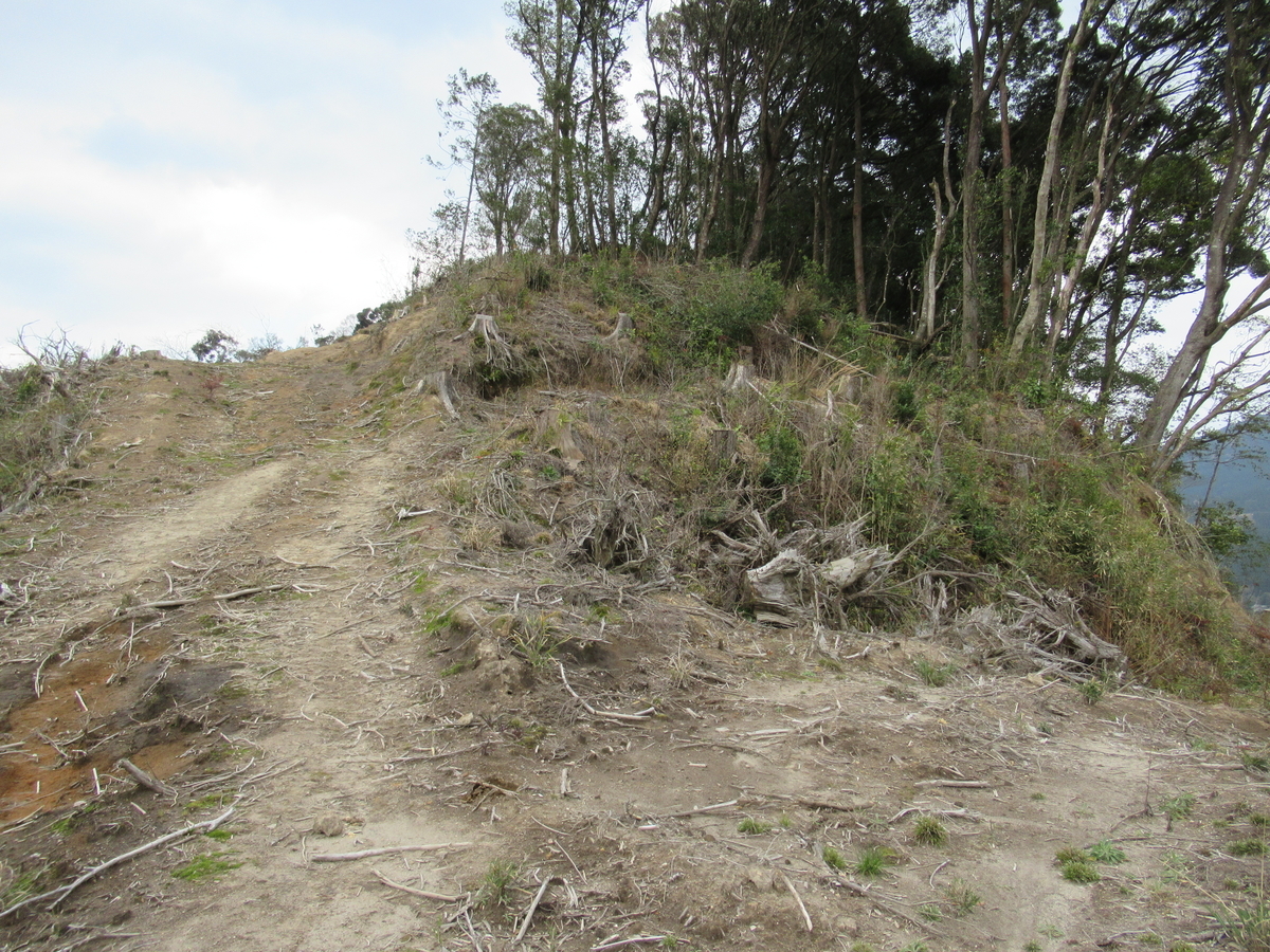 f:id:mai9mami:20200316230150j:plain