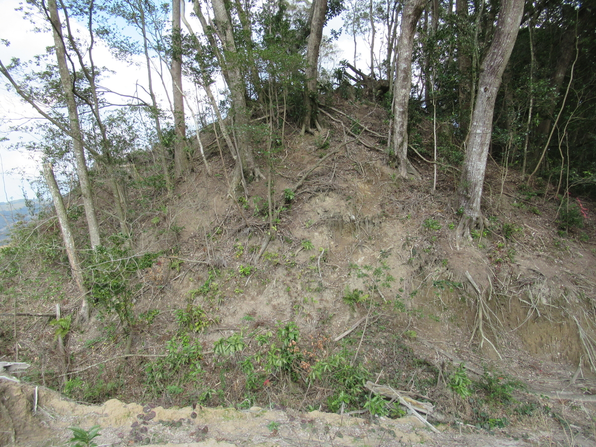 f:id:mai9mami:20200316230747j:plain