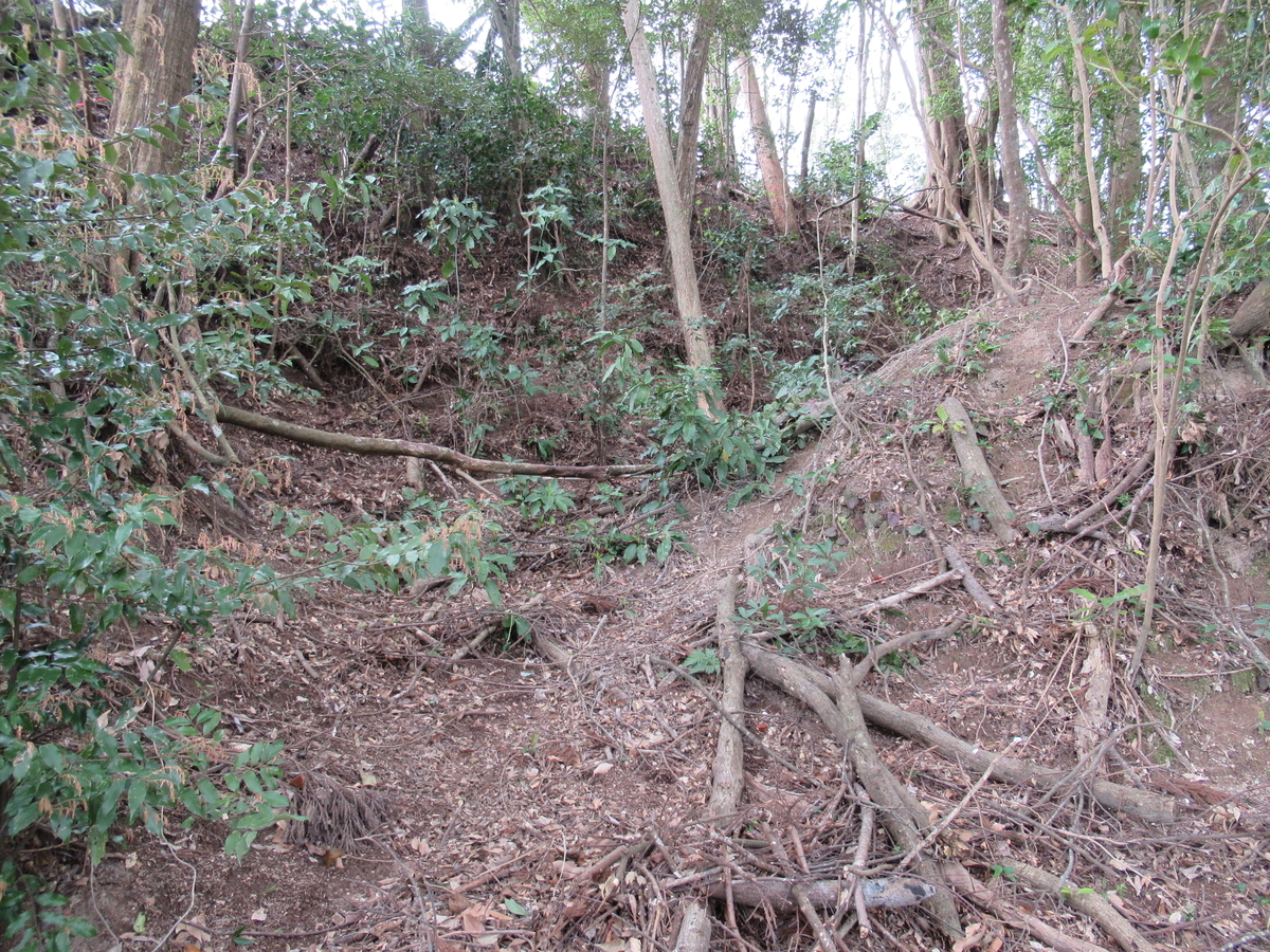 f:id:mai9mami:20200316232115j:plain