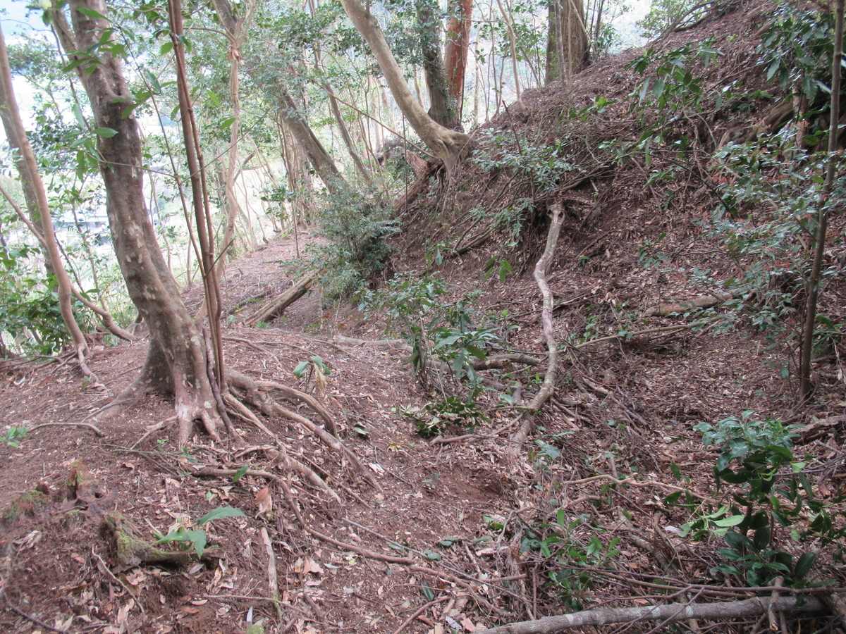 f:id:mai9mami:20200316232419j:plain