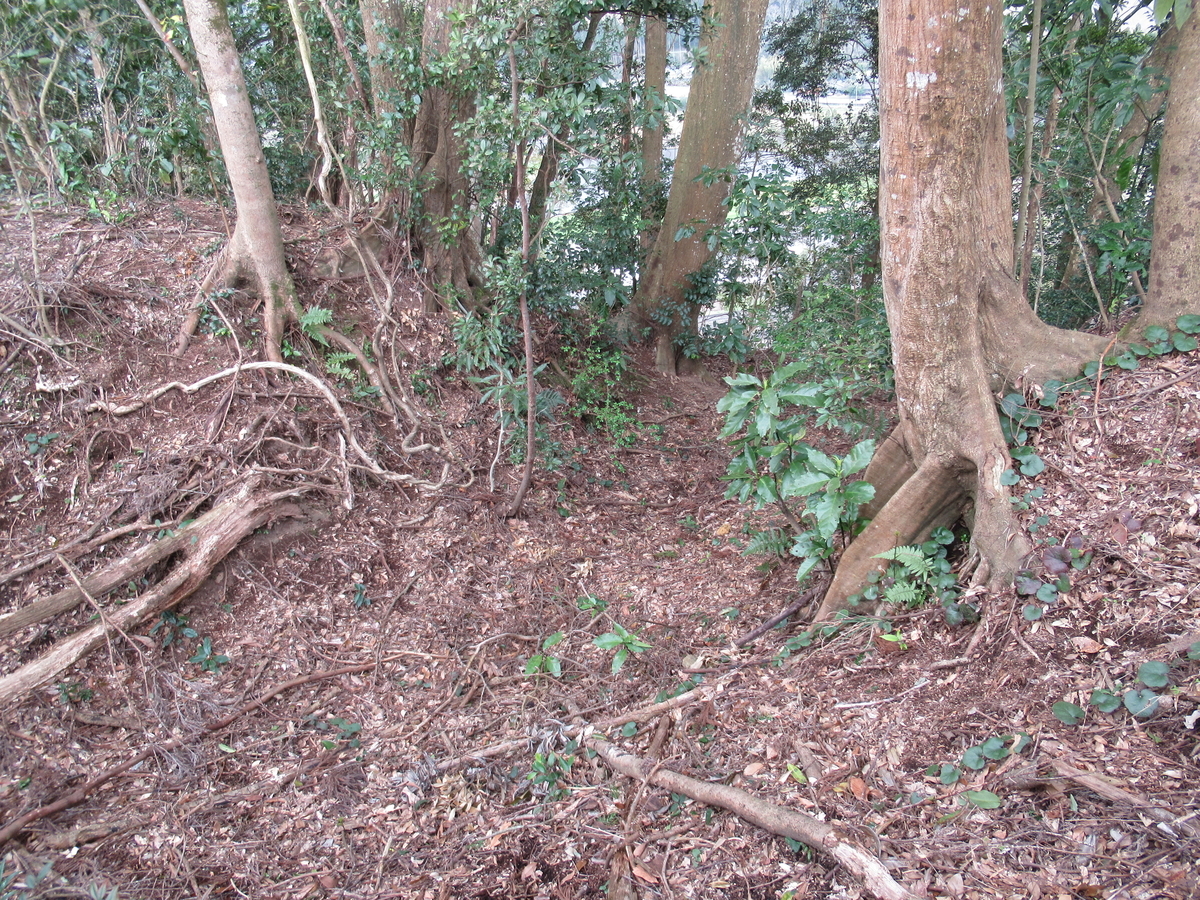 f:id:mai9mami:20200316233404j:plain