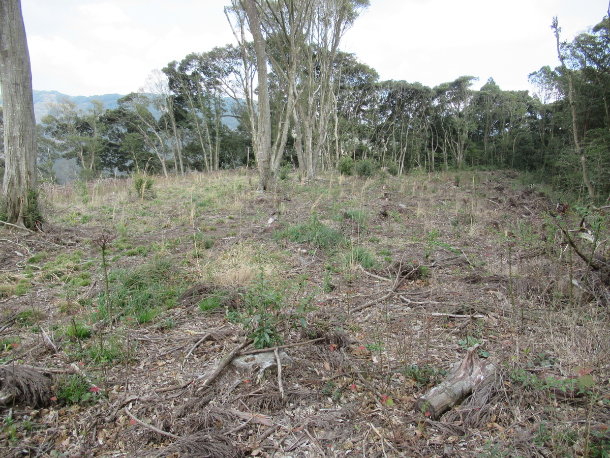 f:id:mai9mami:20200316234418j:plain