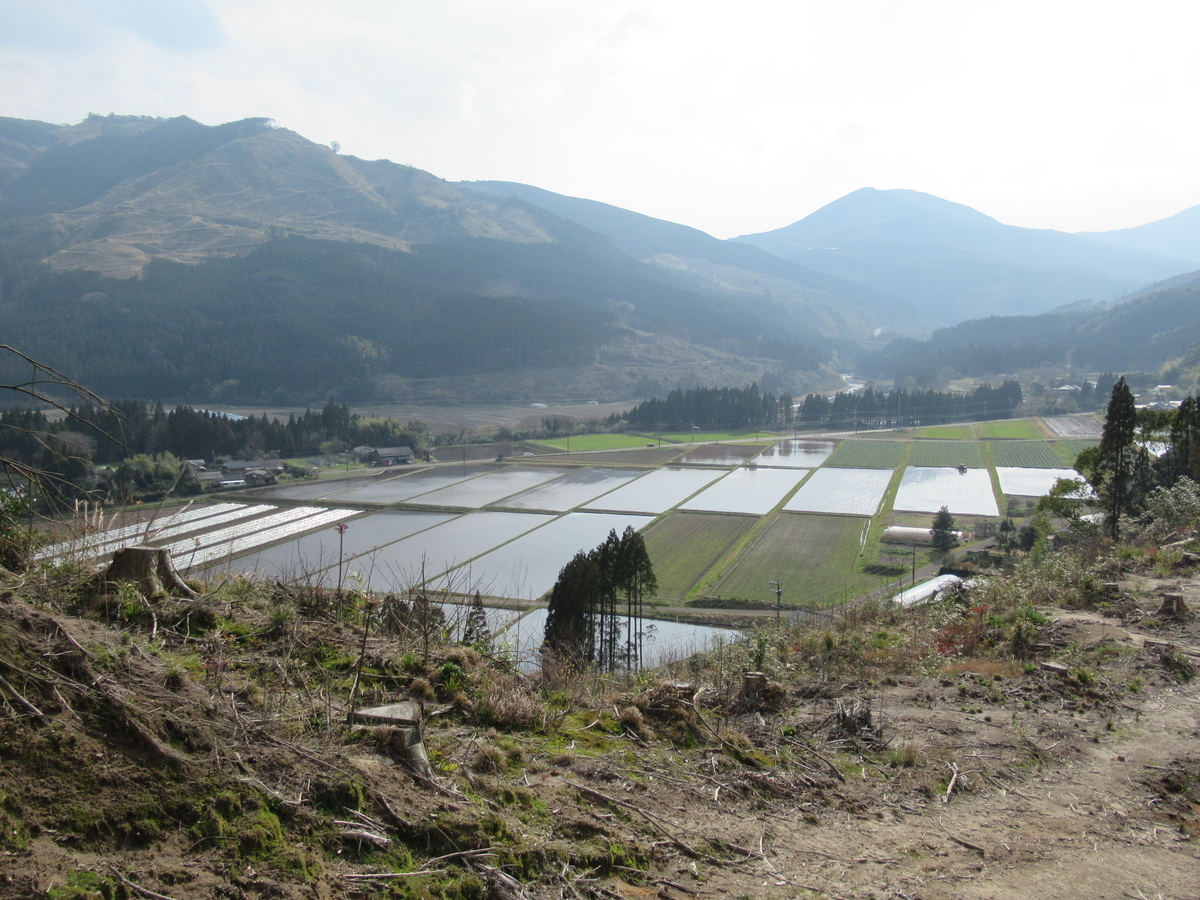 f:id:mai9mami:20200316235232j:plain