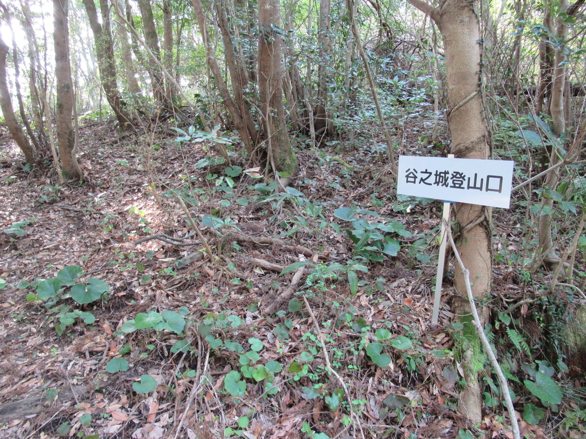 f:id:mai9mami:20200321160607j:plain f:id:mai9mami:20200321160607j:plain