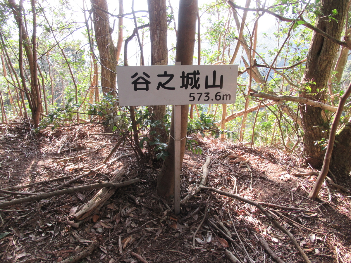 f:id:mai9mami:20200321162409j:plain f:id:mai9mami:20200321162409j:plain