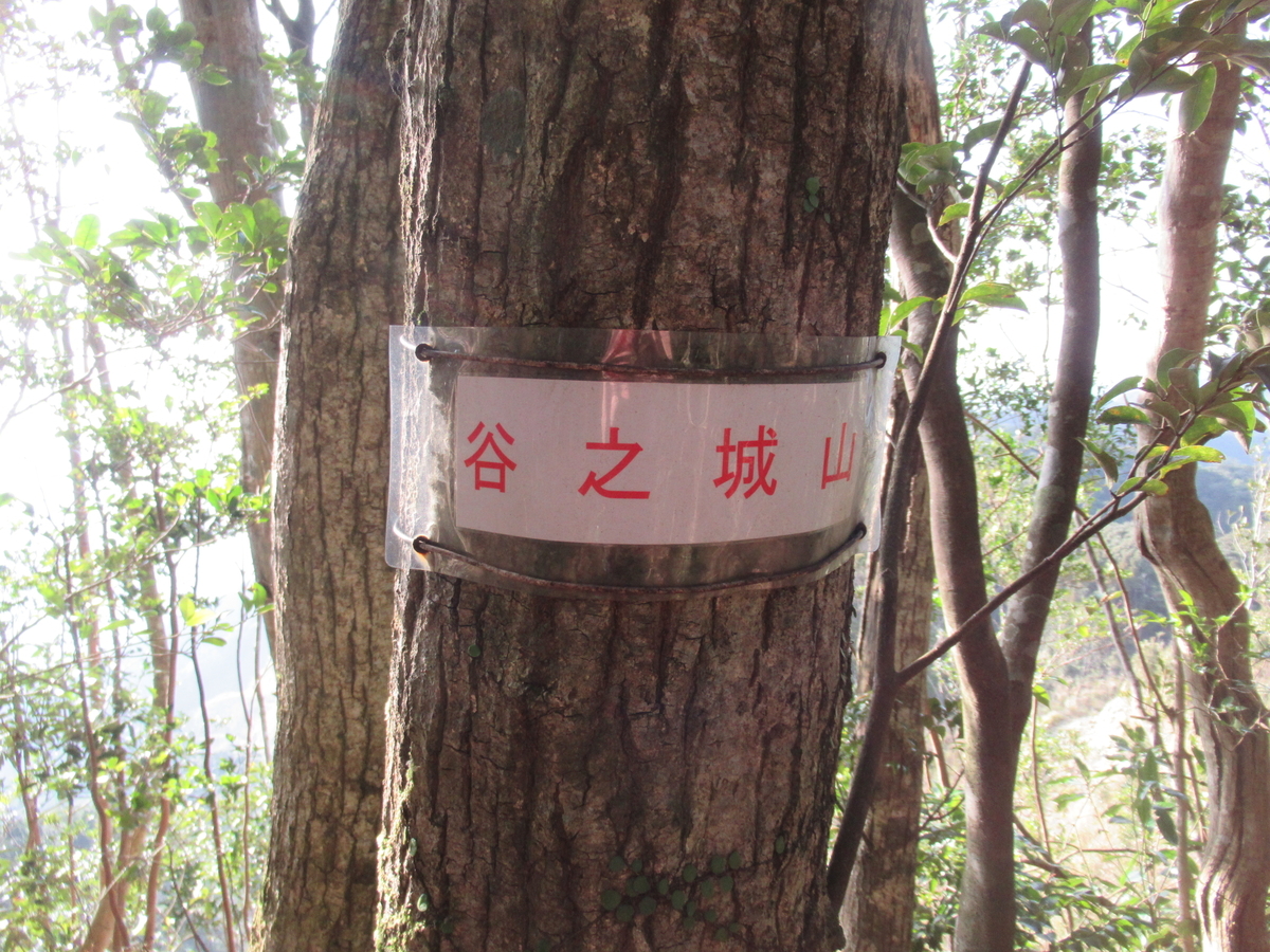 f:id:mai9mami:20200321163157j:plain f:id:mai9mami:20200321163157j:plain