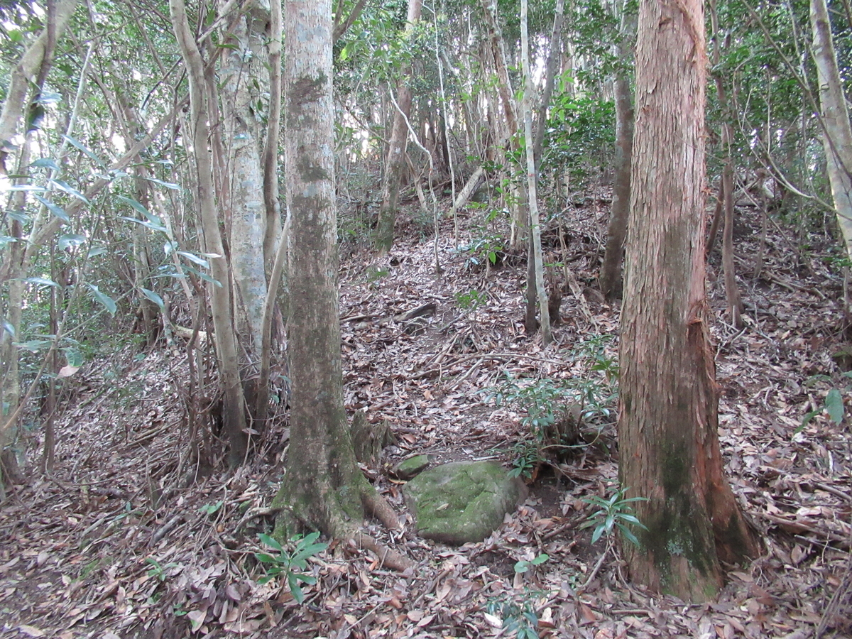 f:id:mai9mami:20200321165347j:plain f:id:mai9mami:20200321165347j:plain