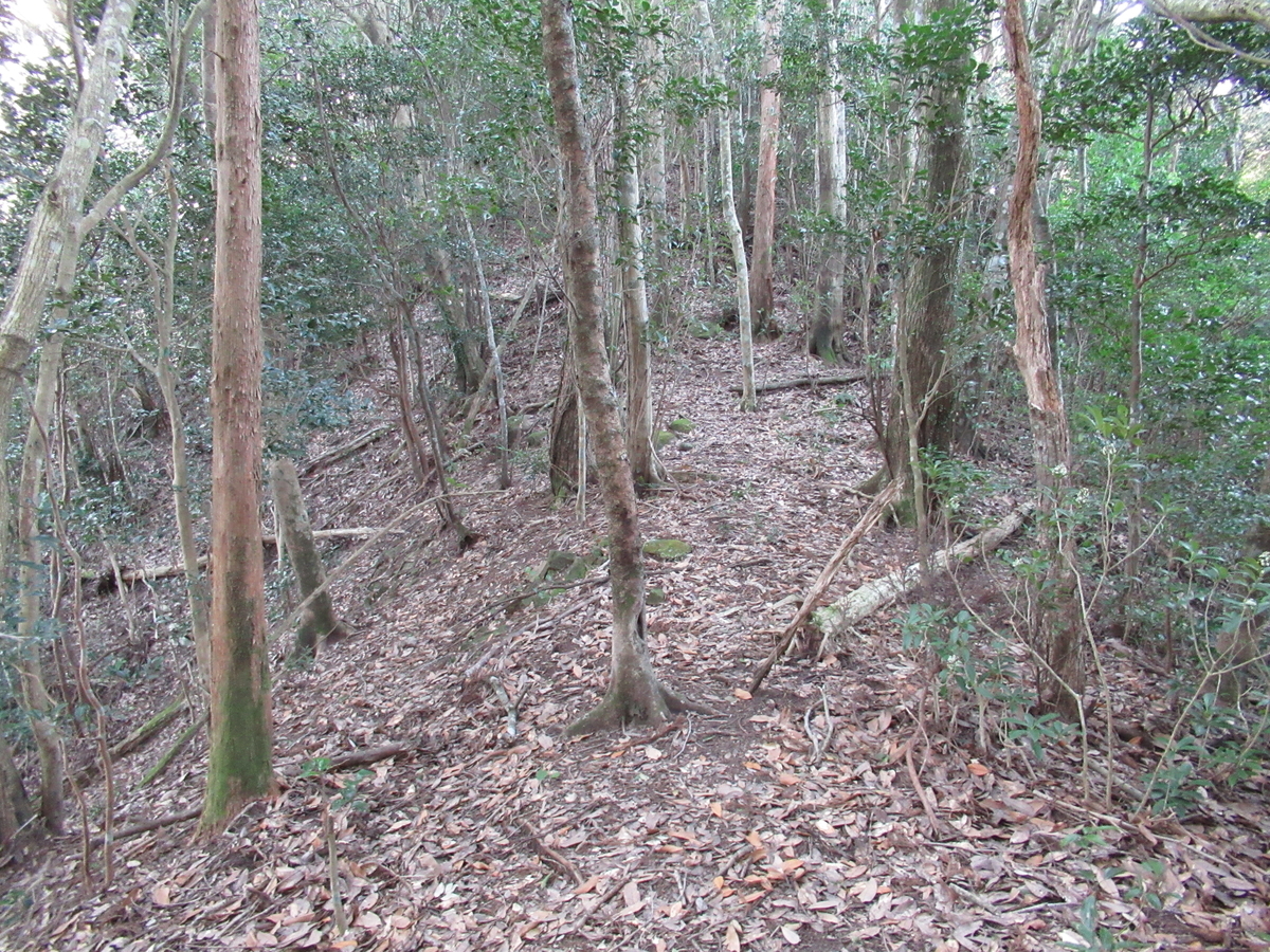 f:id:mai9mami:20200321165405j:plain f:id:mai9mami:20200321165405j:plain